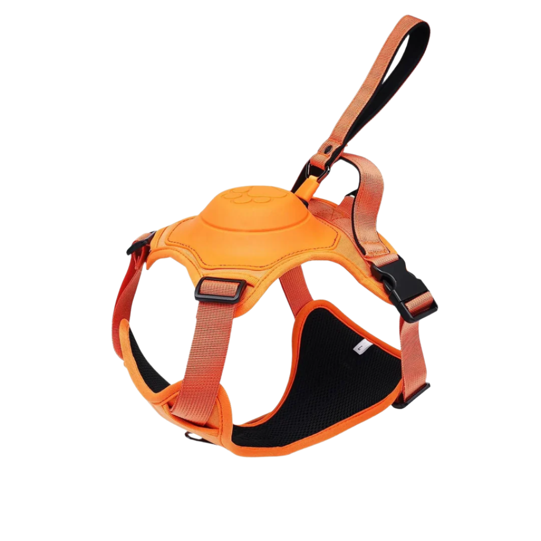 DogFlex™ - De beste keuze voor je hond en jou