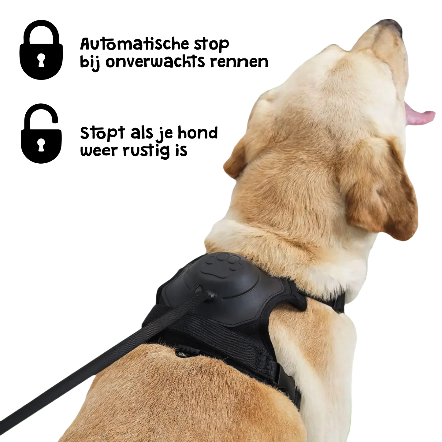 DogFlex™ - De beste keuze voor je hond en jou