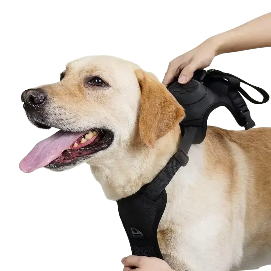 DogFlex™ - De beste keuze voor je hond en jou