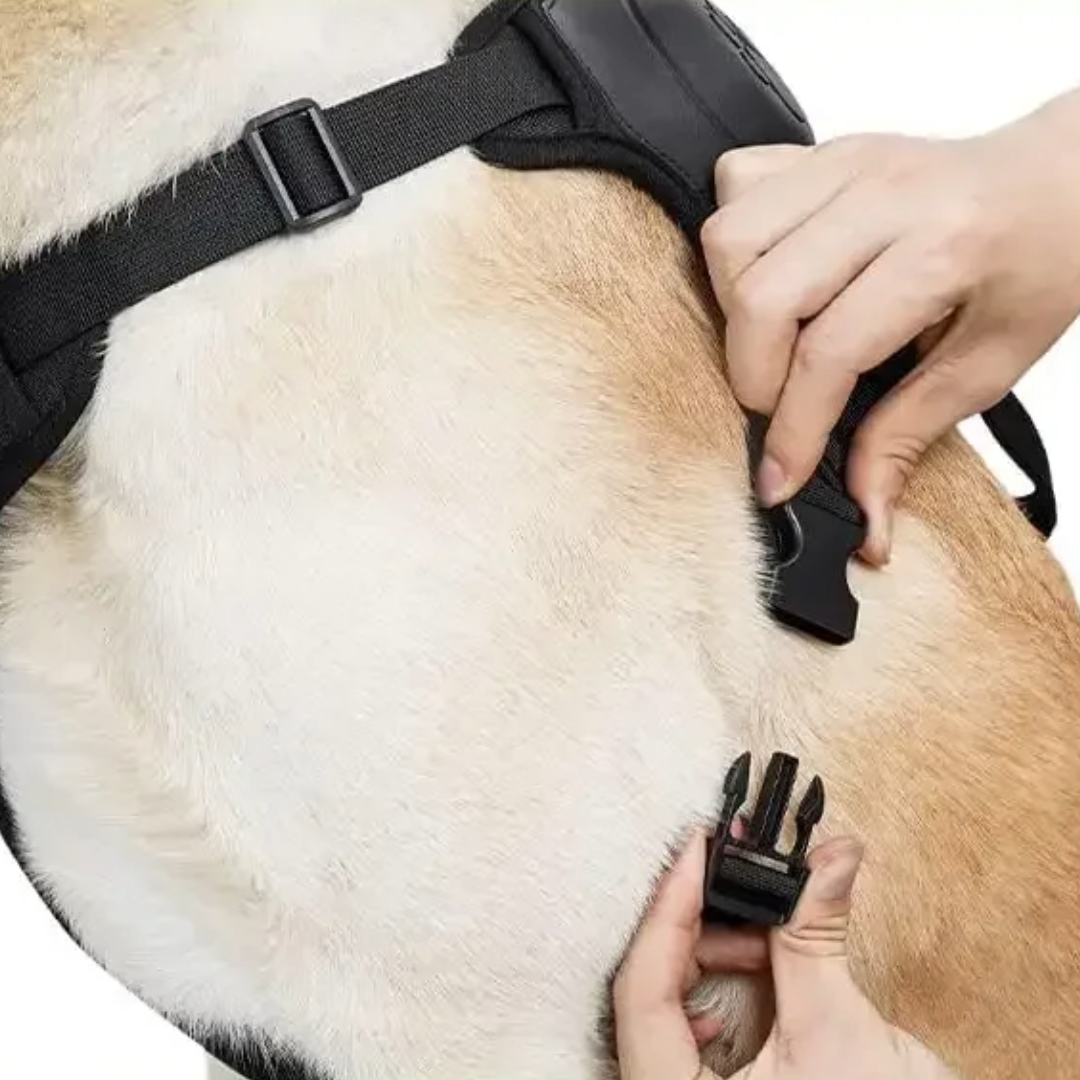DogFlex™ - De beste keuze voor je hond en jou