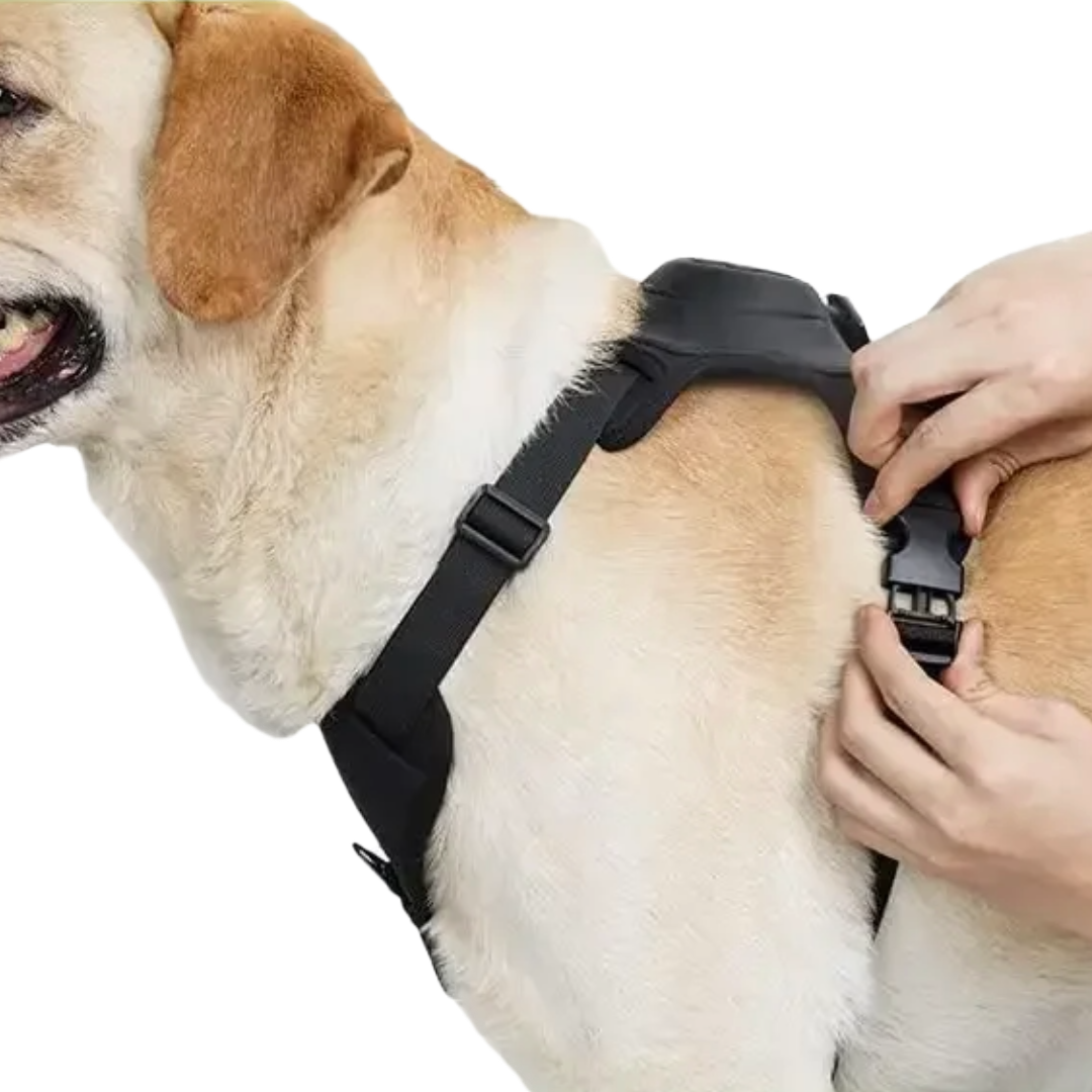 DogFlex™ - De beste keuze voor je hond en jou